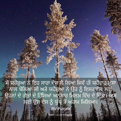 Picture 03 - ਯਸ਼ਵਾ 11:23 PANIRV - ਸੋ ਯਹੋਸ਼ੁਆ ਨੇ ਇਹ - Bible Verse Picture