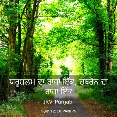 Picture 03 - ਯਸ਼ਵਾ 12:10 PANIRV - ਯਰੂਸ਼ਲਮ ਦਾ ਰਾਜਾ - Bible Verse Picture
