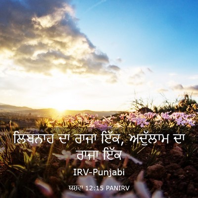 Picture 03 - ਯਸ਼ਵਾ 12:15 PANIRV - ਲਿਬਨਾਹ ਦਾ ਰਾਜਾ ਇੱਕ, - Bible Verse Picture