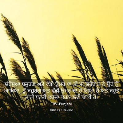 Picture 03 - ਯਸ਼ਵਾ 13:1 PANIRV - ਯਹੋਸ਼ੁਆ ਬਜ਼ੁਰਗ - Bible Verse Picture