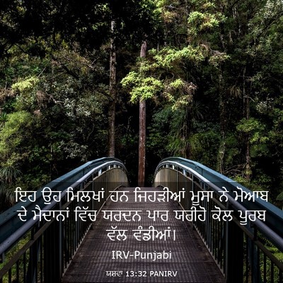 Picture 03 - ਯਸ਼ਵਾ 13:32 PANIRV - ਇਹ ਉਹ ਮਿਲਖਾਂ ਹਨ - Bible Verse Picture