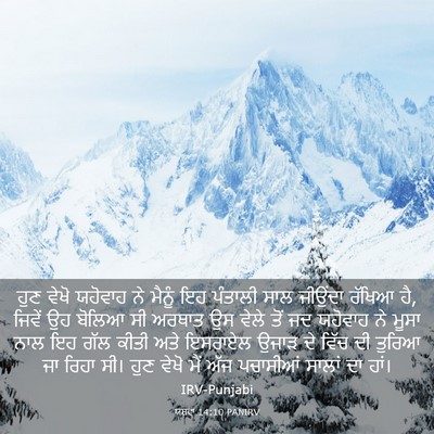 Picture 03 - ਯਸ਼ਵਾ 14:10 PANIRV - ਹੁਣ ਵੇਖੋ ਯਹੋਵਾਹ ਨੇ - Bible Verse Picture