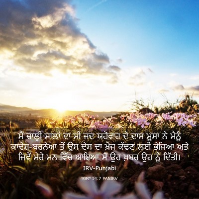 Picture 03 - ਯਸ਼ਵਾ 14:7 PANIRV - ਮੈਂ ਚਾਲ੍ਹੀ ਸਾਲਾਂ - Bible Verse Picture