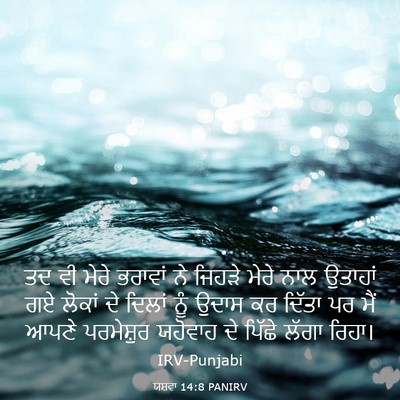 Picture 03 - ਯਸ਼ਵਾ 14:8 PANIRV - ਤਦ ਵੀ ਮੇਰੇ ਭਰਾਵਾਂ - Bible Verse Picture