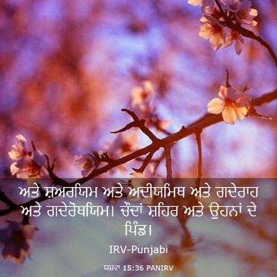 Picture 03 - ਯਸ਼ਵਾ 15:36 PANIRV - ਅਤੇ ਸ਼ਅਰਯਿਮ ਅਤੇ - Bible Verse Picture