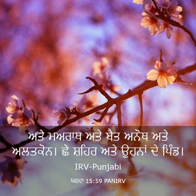 Picture 03 - ਯਸ਼ਵਾ 15:59 PANIRV - ਅਤੇ ਮਅਰਾਥ ਅਤੇ ਬੈਤ - Bible Verse Picture