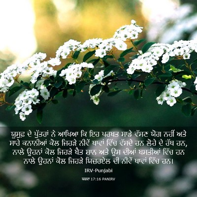 Picture 03 - ਯਸ਼ਵਾ 17:16 PANIRV - ਯੂਸੁਫ਼ ਦੇ ਪੁੱਤਰਾਂ - Bible Verse Picture