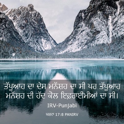 Picture 03 - ਯਸ਼ਵਾ 17:8 PANIRV - ਤੱਪੂਆਹ ਦਾ ਦੇਸ - Bible Verse Picture