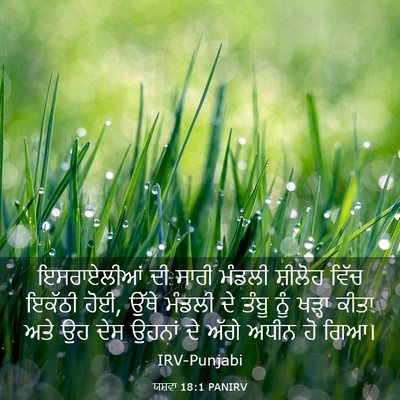 Picture 03 - ਯਸ਼ਵਾ 18:1 PANIRV - ਇਸਰਾਏਲੀਆਂ ਦੀ ਸਾਰੀ - Bible Verse Picture