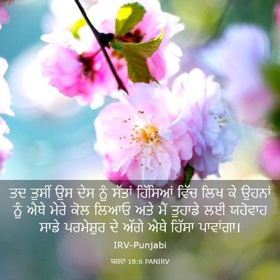 Picture 03 - ਯਸ਼ਵਾ 18:6 PANIRV - ਤਦ ਤੁਸੀਂ ਉਸ ਦੇਸ ਨੂੰ - Bible Verse Picture