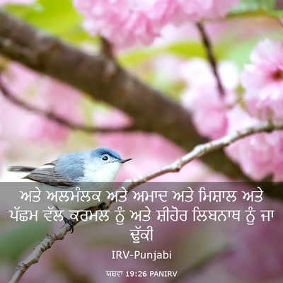 Picture 03 - ਯਸ਼ਵਾ 19:26 PANIRV - ਅਤੇ ਅਲਮੰਲਕ ਅਤੇ - Bible Verse Picture