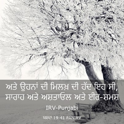 Picture 03 - ਯਸ਼ਵਾ 19:41 PANIRV - ਅਤੇ ਉਹਨਾਂ ਦੀ ਮਿਲਖ਼ - Bible Verse Picture