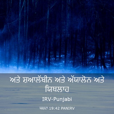 Picture 03 - ਯਸ਼ਵਾ 19:42 PANIRV - ਅਤੇ ਸ਼ਆਲੱਬੀਨ ਅਤੇ - Bible Verse Picture