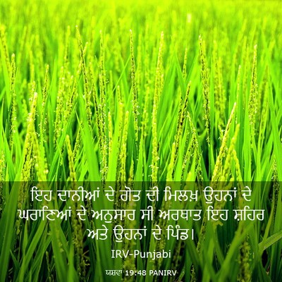 Picture 03 - ਯਸ਼ਵਾ 19:48 PANIRV - ਇਹ ਦਾਨੀਆਂ ਦੇ ਗੋਤ ਦੀ - Bible Verse Picture