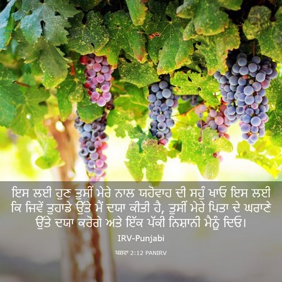 Picture 03 - ਯਸ਼ਵਾ 2:12 PANIRV - ਇਸ ਲਈ ਹੁਣ ਤੁਸੀਂ - Bible Verse Picture