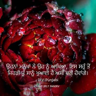 Picture 03 - ਯਸ਼ਵਾ 2:17 PANIRV - ਉਹਨਾਂ ਮਨੁੱਖਾਂ ਨੇ - Bible Verse Picture