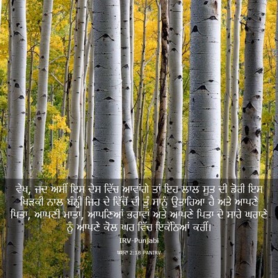 Picture 03 - ਯਸ਼ਵਾ 2:18 PANIRV - ਵੇਖ, ਜਦ ਅਸੀਂ ਇਸ ਦੇਸ - Bible Verse Picture
