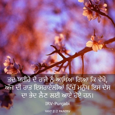Picture 03 - ਯਸ਼ਵਾ 2:2 PANIRV - ਤਦ ਯਰੀਹੋ ਦੇ ਰਾਜੇ - Bible Verse Picture
