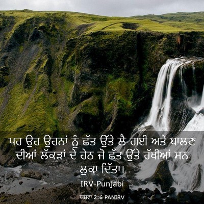 Picture 03 - ਯਸ਼ਵਾ 2:6 PANIRV - ਪਰ ਉਹ ਉਹਨਾਂ ਨੂੰ ਛੱਤ - Bible Verse Picture
