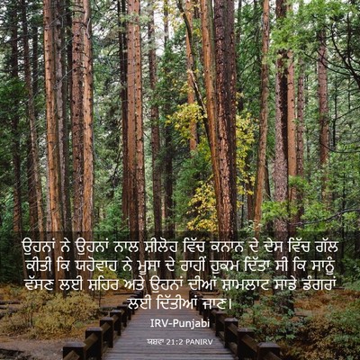 Picture 03 - ਯਸ਼ਵਾ 21:2 PANIRV - ਉਹਨਾਂ ਨੇ ਉਹਨਾਂ ਨਾਲ - Bible Verse Picture