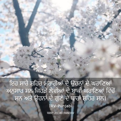 Picture 03 - ਯਸ਼ਵਾ 21:40 PANIRV - ਇਹ ਸਾਰੇ ਸ਼ਹਿਰ - Bible Verse Picture