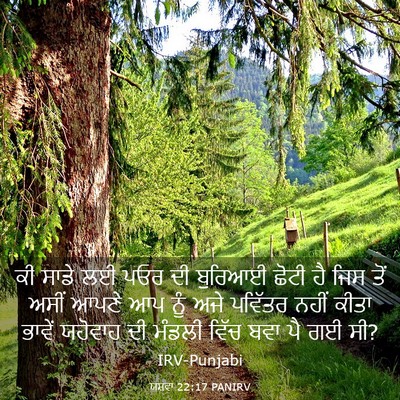 Picture 03 - ਯਸ਼ਵਾ 22:17 PANIRV - ਕੀ ਸਾਡੇ ਲਈ ਪਓਰ ਦੀ - Bible Verse Picture