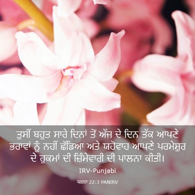 Picture 03 - ਯਸ਼ਵਾ 22:3 PANIRV - ਤੁਸੀਂ ਬਹੁਤ ਸਾਰੇ - Bible Verse Picture