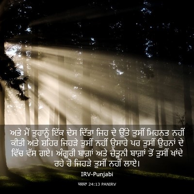 Picture 03 - ਯਸ਼ਵਾ 24:13 PANIRV - ਅਤੇ ਮੈਂ ਤੁਹਾਨੂੰ - Bible Verse Picture