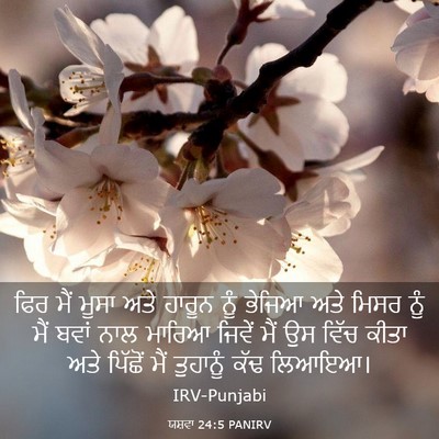 Picture 03 - ਯਸ਼ਵਾ 24:5 PANIRV - ਫਿਰ ਮੈਂ ਮੂਸਾ ਅਤੇ - Bible Verse Picture