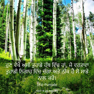 Picture 03 - ਯਸ਼ਵਾ 9:25 PANIRV - ਹੁਣ ਵੇਖੋ ਅਸੀਂ - Bible Verse Picture