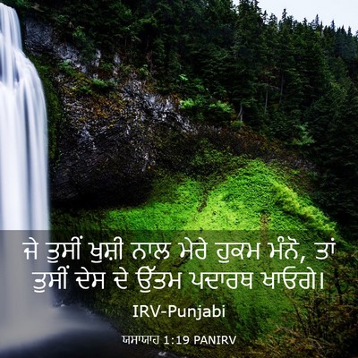 Picture 03 - ਯਸਾਯਾਹ 1:19 PANIRV - ਜੇ ਤੁਸੀਂ ਖੁਸ਼ੀ ਨਾਲ - Bible Verse Picture