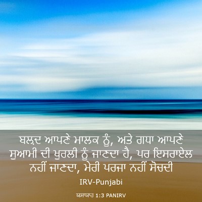 Picture 03 - ਯਸਾਯਾਹ 1:3 PANIRV - ਬਲ਼ਦ ਆਪਣੇ ਮਾਲਕ ਨੂੰ, - Bible Verse Picture