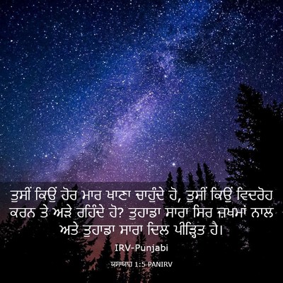 Picture 03 - ਯਸਾਯਾਹ 1:5 PANIRV - ਤੁਸੀਂ ਕਿਉਂ ਹੋਰ ਮਾਰ - Bible Verse Picture