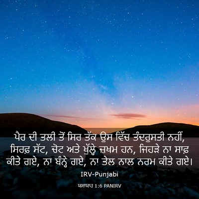 Picture 03 - ਯਸਾਯਾਹ 1:6 PANIRV - ਪੈਰ ਦੀ ਤਲੀ ਤੋਂ ਸਿਰ - Bible Verse Picture