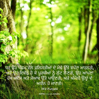 Picture 03 - ਯਸਾਯਾਹ 11:14 PANIRV - ਪਰ ਉਹ ਪੱਛਮ ਵੱਲ - Bible Verse Picture