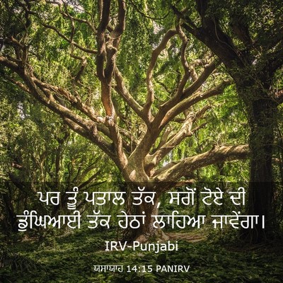 Picture 03 - ਯਸਾਯਾਹ 14:15 PANIRV - ਪਰ ਤੂੰ ਪਤਾਲ ਤੱਕ, - Bible Verse Picture
