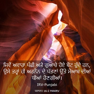 Picture 03 - ਯਸਾਯਾਹ 16:2 PANIRV - ਜਿਵੇਂ ਅਵਾਰਾ ਪੰਛੀ - Bible Verse Picture