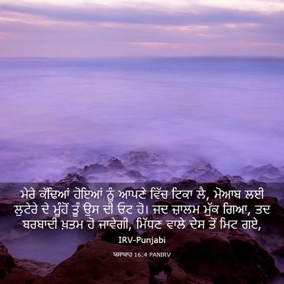 Picture 03 - ਯਸਾਯਾਹ 16:4 PANIRV - ਮੇਰੇ ਕੱਢਿਆਂ ਹੋਇਆਂ - Bible Verse Picture