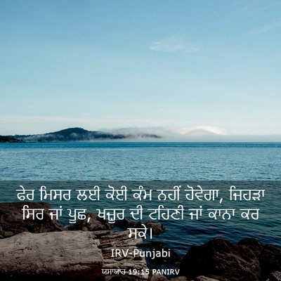 Picture 03 - ਯਸਾਯਾਹ 19:15 PANIRV - ਫੇਰ ਮਿਸਰ ਲਈ ਕੋਈ ਕੰਮ - Bible Verse Picture