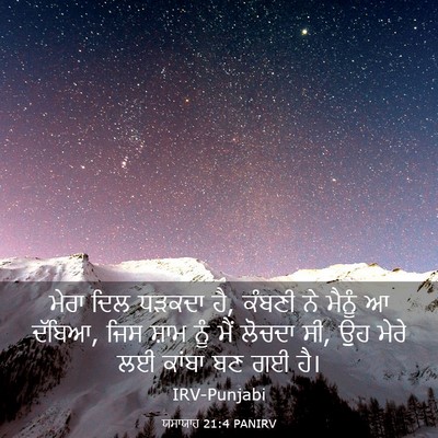 Picture 03 - ਯਸਾਯਾਹ 21:4 PANIRV - ਮੇਰਾ ਦਿਲ ਧੜਕਦਾ ਹੈ, - Bible Verse Picture