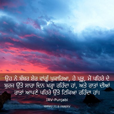 Picture 03 - ਯਸਾਯਾਹ 21:8 PANIRV - ਉਹ ਨੇ ਬੱਬਰ ਸ਼ੇਰ - Bible Verse Picture