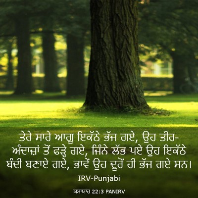 Picture 03 - ਯਸਾਯਾਹ 22:3 PANIRV - ਤੇਰੇ ਸਾਰੇ ਆਗੂ - Bible Verse Picture