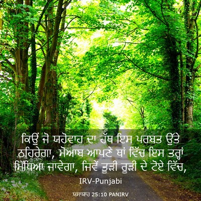 Picture 03 - ਯਸਾਯਾਹ 25:10 PANIRV - ਕਿਉਂ ਜੋ ਯਹੋਵਾਹ ਦਾ - Bible Verse Picture