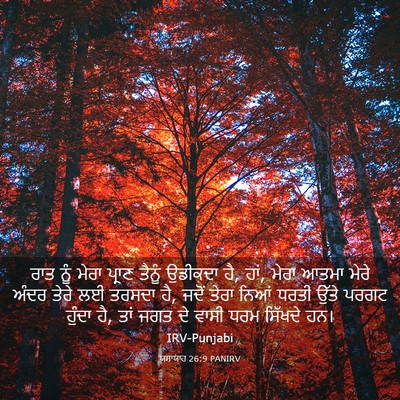 Picture 03 - ਯਸਾਯਾਹ 26:9 PANIRV - ਰਾਤ ਨੂੰ ਮੇਰਾ ਪ੍ਰਾਣ - Bible Verse Picture