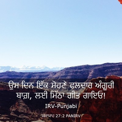 Picture 03 - ਯਸਾਯਾਹ 27:2 PANIRV - ਉਸ ਦਿਨ ਇੱਕ ਸੋਹਣੇ - Bible Verse Picture