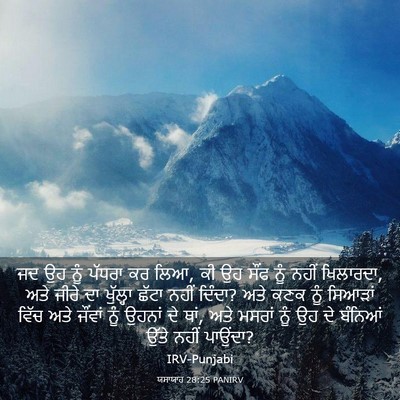 Picture 03 - ਯਸਾਯਾਹ 28:25 PANIRV - ਜਦ ਉਹ ਨੂੰ ਪੱਧਰਾ ਕਰ - Bible Verse Picture