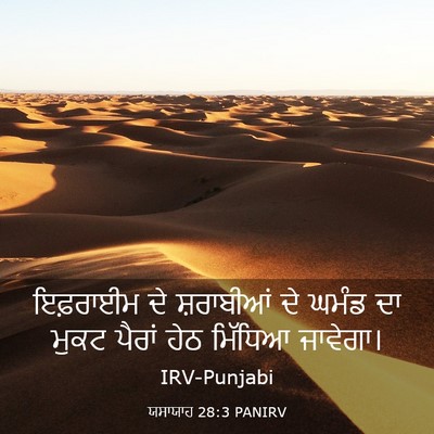 Picture 03 - ਯਸਾਯਾਹ 28:3 PANIRV - ਇਫ਼ਰਾਈਮ ਦੇ - Bible Verse Picture