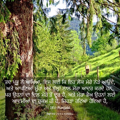 Picture 03 - ਯਸਾਯਾਹ 29:13 PANIRV - ਤਦ ਪ੍ਰਭੂ ਨੇ ਆਖਿਆ, - Bible Verse Picture