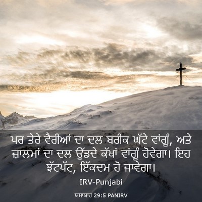 Picture 03 - ਯਸਾਯਾਹ 29:5 PANIRV - ਪਰ ਤੇਰੇ ਵੈਰੀਆਂ ਦਾ - Bible Verse Picture