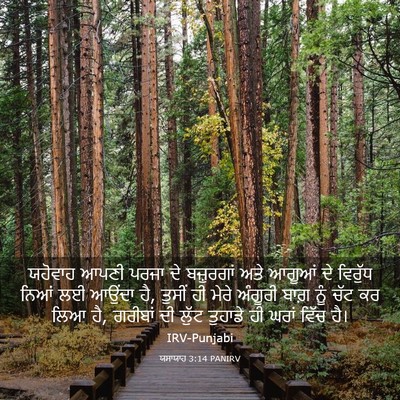 Picture 03 - ਯਸਾਯਾਹ 3:14 PANIRV - ਯਹੋਵਾਹ ਆਪਣੀ ਪਰਜਾ - Bible Verse Picture